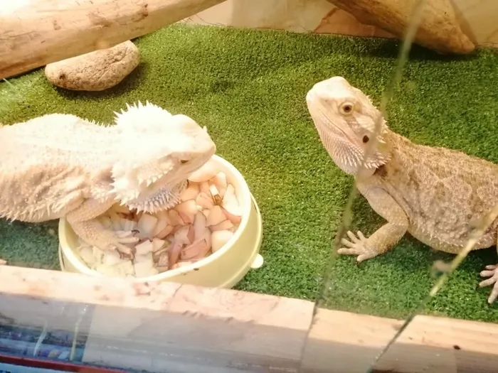 Ноябрь. Экзотариум