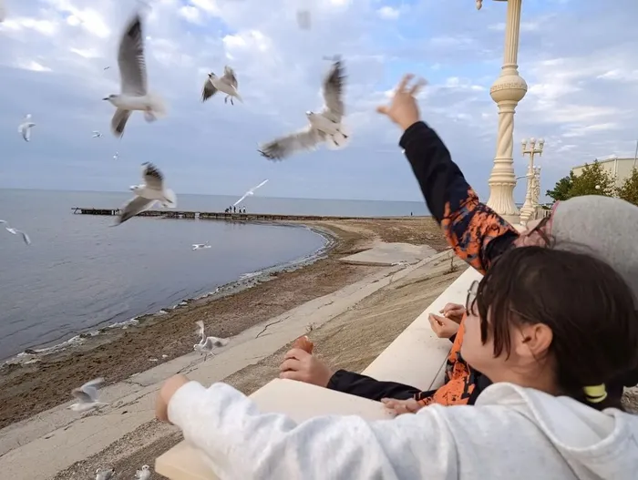 Плэнер на морском побережье